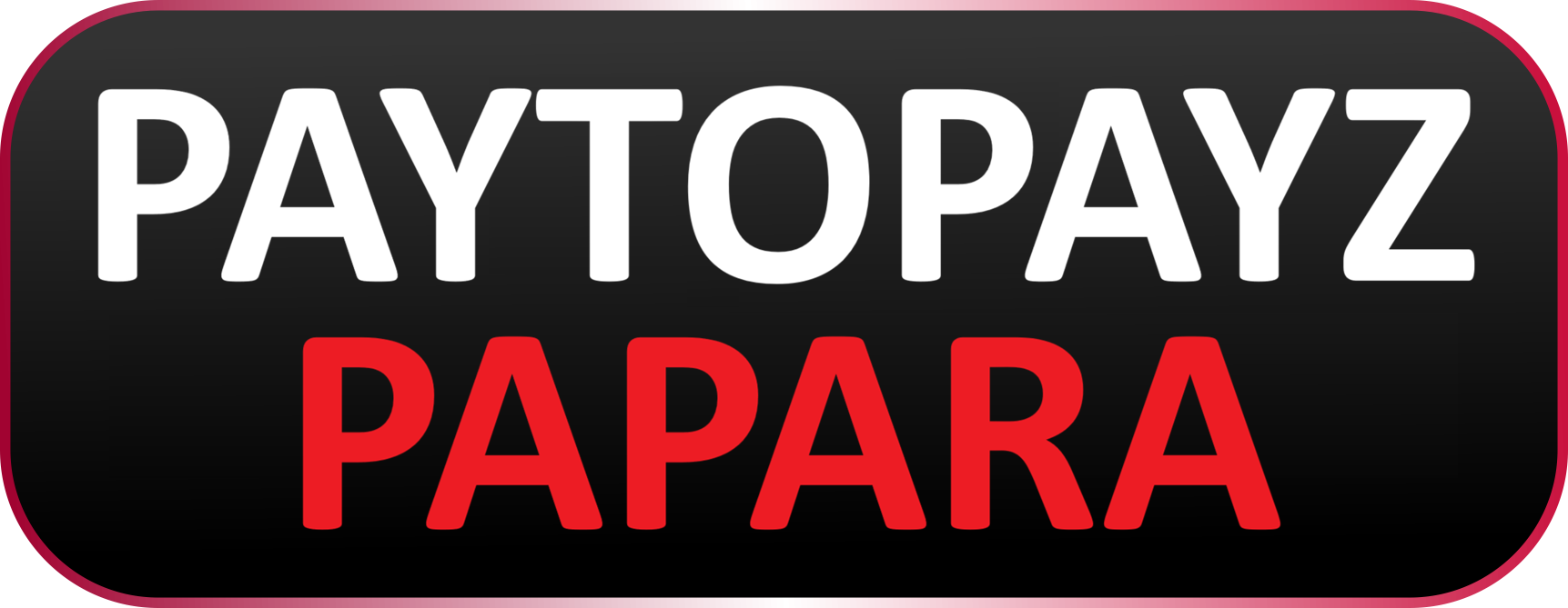 PAYTOPAYZ PAPARA